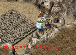 ��ε�������Boss����ռɳ�Ϳˣ�
