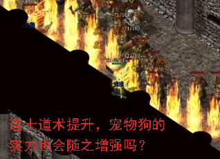 ��ʿ�������������ﹷ��ʵ��Ҳ����֮��ǿ��