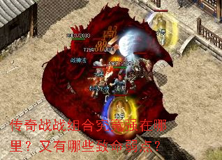 ����սս��Ͼ���ǿ�����������Щ�������㣿