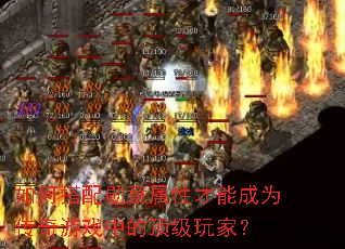 ��δ���ѫ�����Բ��ܳ�Ϊ������Ϸ�еĶ�����ң�
