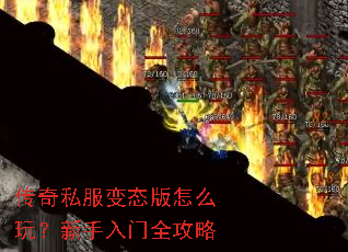 ����˽����̬����ô�棿��������ȫ����