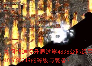 ��ο�������˼����4838��������403600249�ĵȼ���װ����
