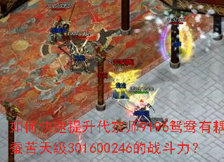 ��ο�����������ʦ9196ԧ������Ͽ��켶301600246��ս������