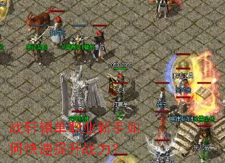 ս��ԯ��ְҵ������ο�������ս����