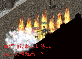 ���ͨ������ѵ����Ϊ������Ϸ���֣�