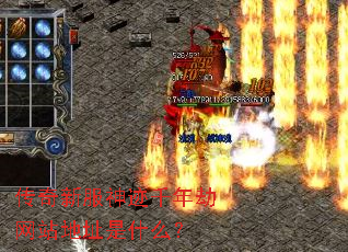 �����·���ǧ�����վ��ַ��ʲô��