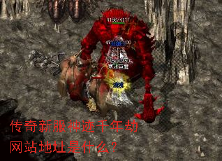 �����·���ǧ�����վ��ַ��ʲô��