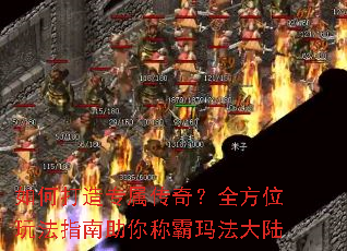 ��δ���ר�����棿ȫ��λ�淨ָ������ư��귨��½
