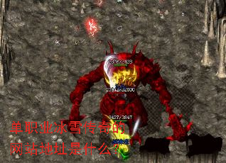 ��ְҵ��ѩ�������վ��ַ��ʲô��