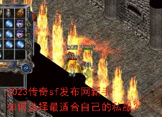 2023����sf�������������ѡ�����ʺ��Լ���˽����