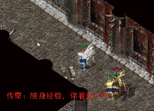 ���棺�������飬�㿴������