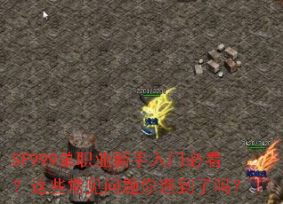 SF999��ְҵ�������űؿ�����Щ������������������