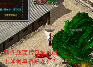 �¿����䴫��˽��սʿ��ε���������