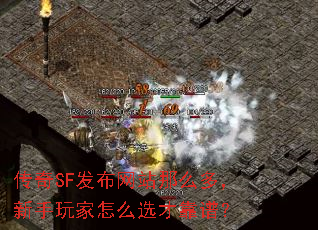����SF������վ��ô�࣬���������ôѡ�ſ��ף�