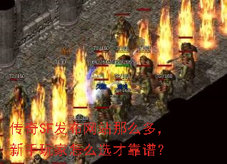 ����SF������վ��ô�࣬���������ôѡ�ſ��ף�
