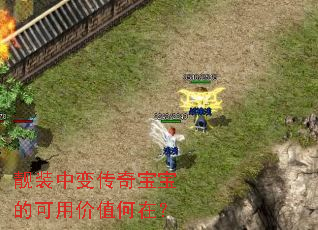 ��װ�б䴫�汦���Ŀ��ü�ֵ���ڣ�