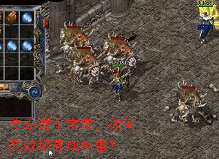 传奇道士宝宝,如何高效培养成神兽? 传奇道士宝宝,如何高效培养成神兽?