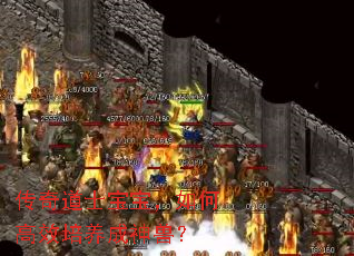 传奇道士宝宝,如何高效培养成神兽? 传奇道士宝宝,如何高效培养成神兽?