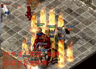传奇道士宝宝,如何高效培养成神兽? 传奇道士宝宝,如何高效培养成神兽?