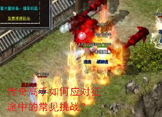 ����������Ӧ����;�еĳ�����ս��