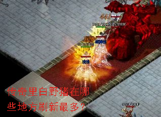 传奇里白野猪在哪些地方刷新最多? 传奇里白野猪在哪些地方刷新最多?