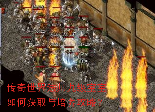 �������編ʦ�ż�������λ�ȡ���������ԣ�