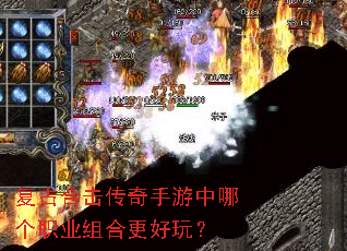 ���źϻ������������ĸ�ְҵ��ϸ����棿