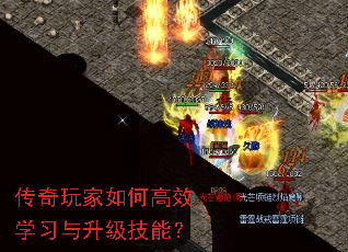 ���������θ�Чѧϰ���������ܣ�