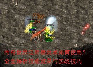 �������編ʦ���������ʹ�ã�ȫ���������Ч����ʵս����
