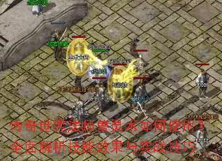 �������編ʦ���������ʹ�ã�ȫ���������Ч����ʵս����