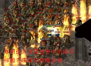 ��ν����ѩ�����е�����������ϸ���Բ��衣