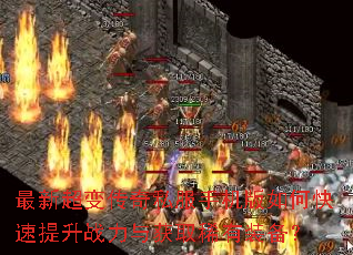 ���³��䴫��˽���ֻ�����ο�������ս�����ȡϡ��װ����