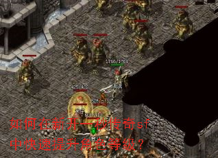 ������¿�һ�봫��sf�п���������ɫ�ȼ���