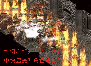 ������¿�һ�봫��sf�п���������ɫ�ȼ���
