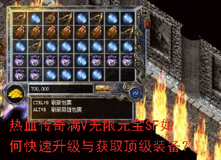 ��Ѫ������V����Ԫ��SF��ο����������ȡ����װ����