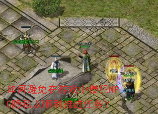 ��α�������Ϸ���ַ�NPC��˽��˳���ƽ�����