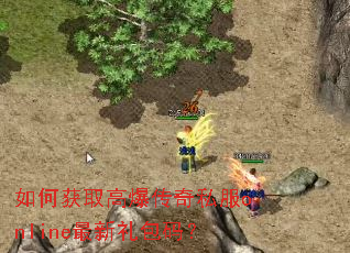 ��λ�ȡ�߱�����˽��online��������룿