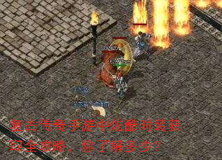 ���Ŵ����������ſ�ʱװ��ȡȫ���ԣ����˽���٣�