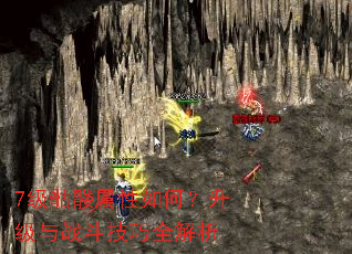 7级骷髅属性如何?升级与战斗技巧全解析 7级骷髅属性如何?升级与战斗技巧全解析