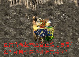复古传奇丛林迷宫正确走法是什么?如何快速通过迷宫关卡? 复古传奇丛林迷宫正确走法是什么?如何快速通过迷宫关卡?