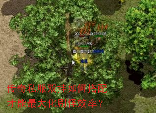 传奇私服双挂如何搭配才能最大化刷怪效率? 传奇私服双挂如何搭配才能最大化刷怪效率?
