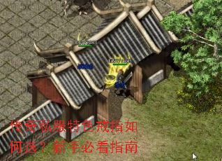 ����˽����ɫ��ָ���ѡ�����ֱؿ�ָ��