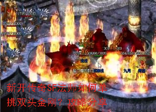 �¿�����SF��ʦ��ε���˫ͷ��գ����Է���