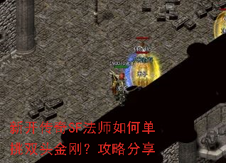 �¿�����SF��ʦ��ε���˫ͷ��գ����Է���