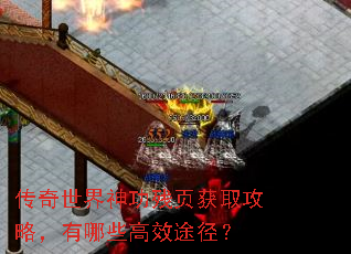 ���������񹦲�ҳ��ȡ���ԣ�����Щ��Ч;����