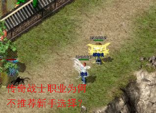 ����սʿְҵΪ�β��Ƽ�����ѡ��