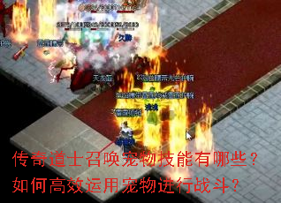 �����ʿ�ٻ����＼������Щ����θ�Ч���ó������ս����