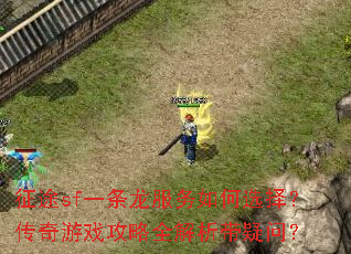 ��;sfһ�����������ѡ�񣿴�����Ϸ����ȫ���������ʣ�