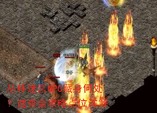 �����Թ�NPC�����δ����ٲ�ȫ���Ե�λ���