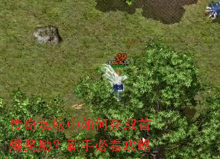 传奇私服中如何获取首爆奖励?新手必看攻略 传奇私服中如何获取首爆奖励?新手必看攻略